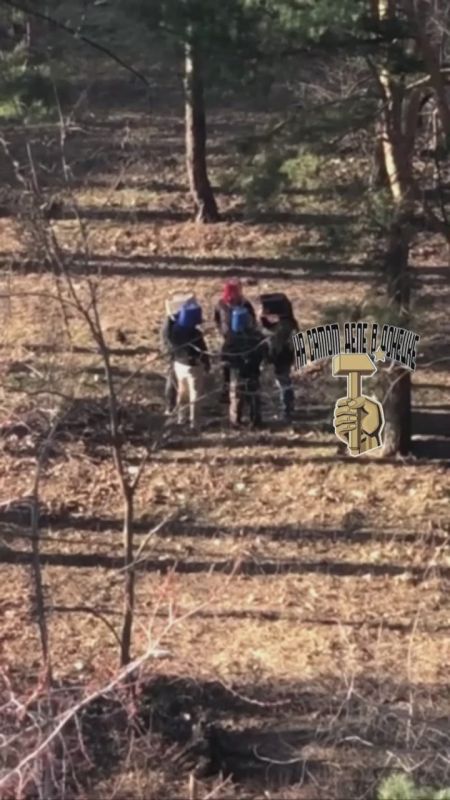 � �������� ������� ������ ���������� ����, ������� �� ������ �����
