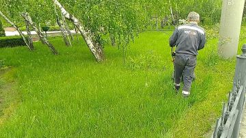 В Кировском внутригородском районе