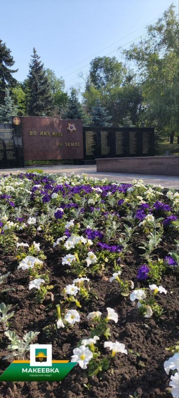 ��������� ���������: ����������� �������������� � ������������� ������������� ����� �����������: ������� ������ ���