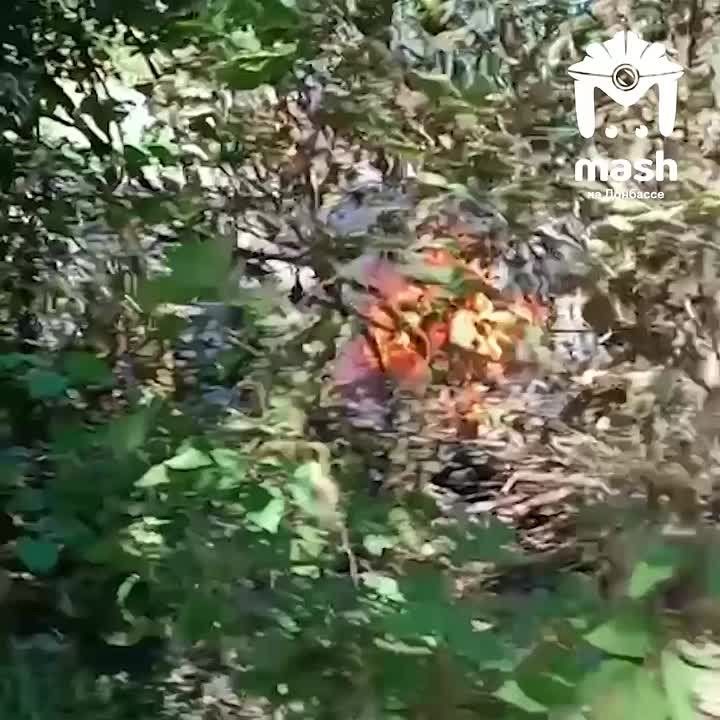        ,   