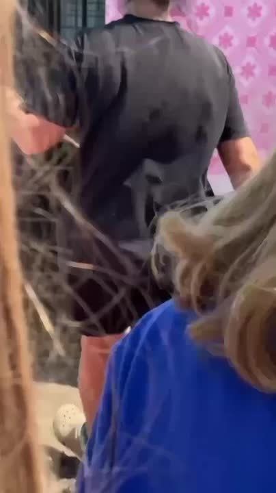        &quot;  &quot;