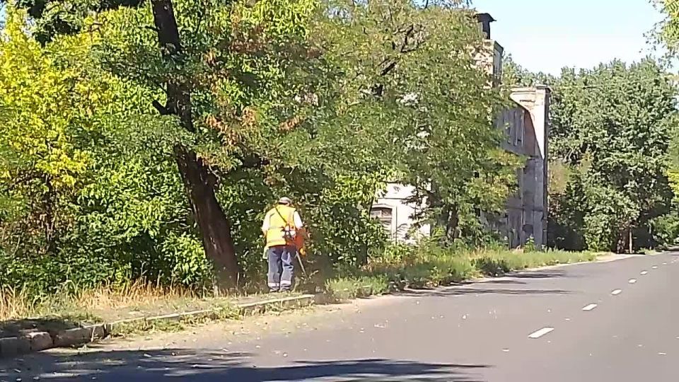 3 ,    82-       -              ...