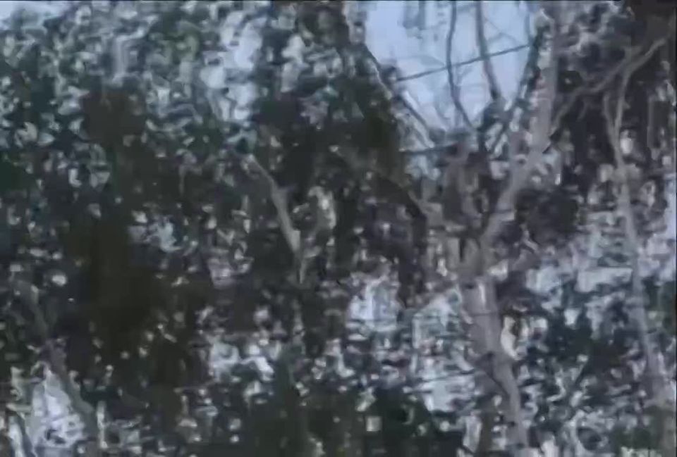  :         Storm Shadow