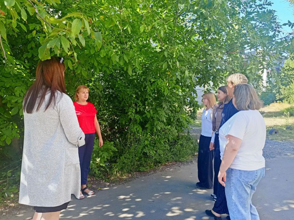 15           ,            31   