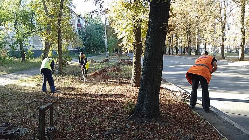 , 17 ,                    . 