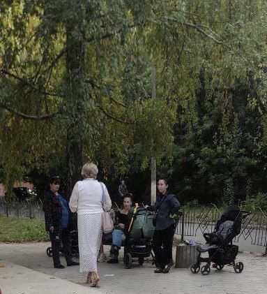 , 17 ,       : .. , . , - , 20