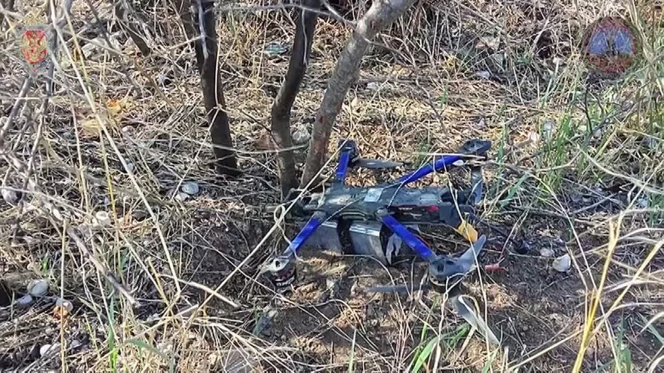 &quot; &quot;    623  ,      430 ,   - 193,    