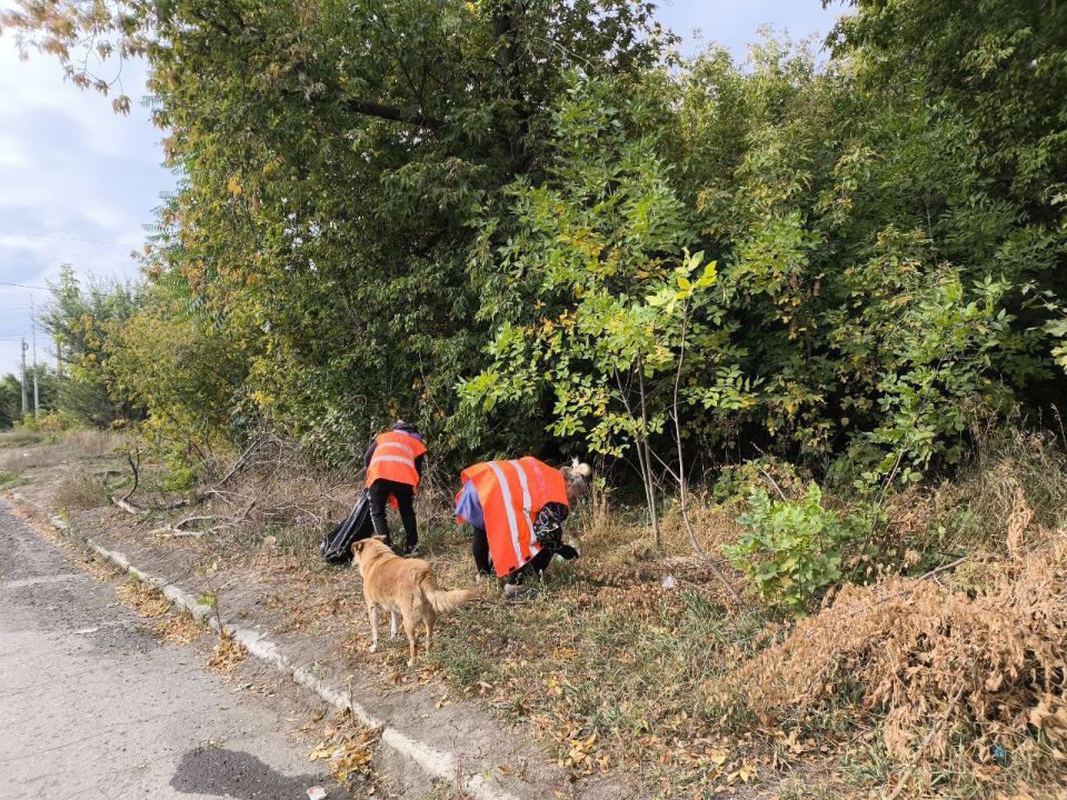 Сегодня, 26 сентября, с целью приведения территории в надлежащее санитарное состояние в Кировском внутригородском районе прошел субботник на территории пос