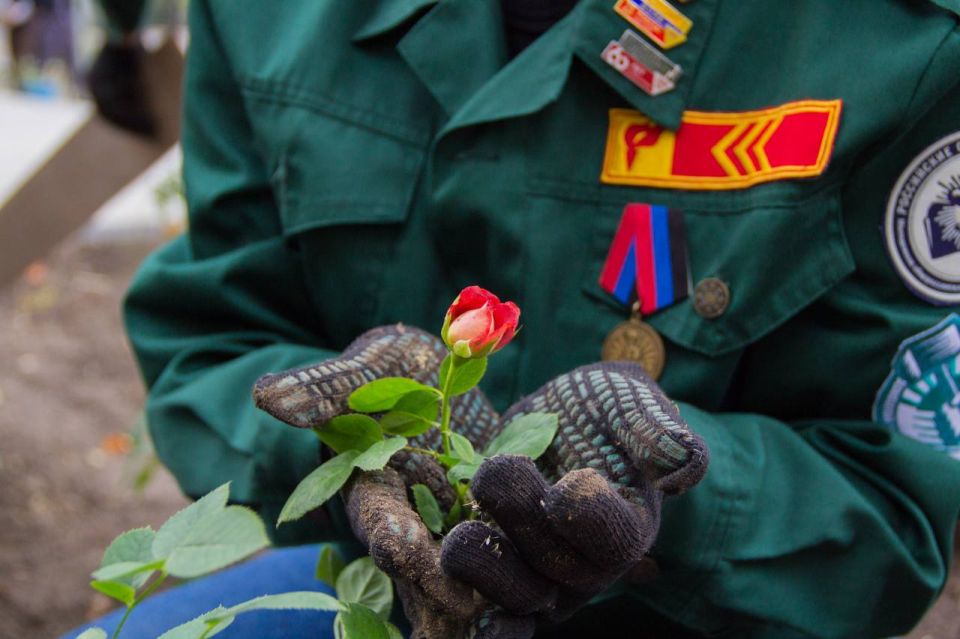 1 Студотряды ДНР заложили «Аллею памяти», высадив более тысячи роз в честь погибших на СВО