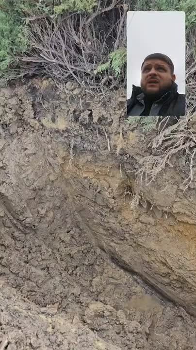   :                   .    ...