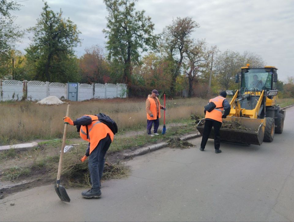 17 ,                         . 