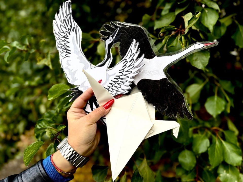 -         ,     ,       ,   ...