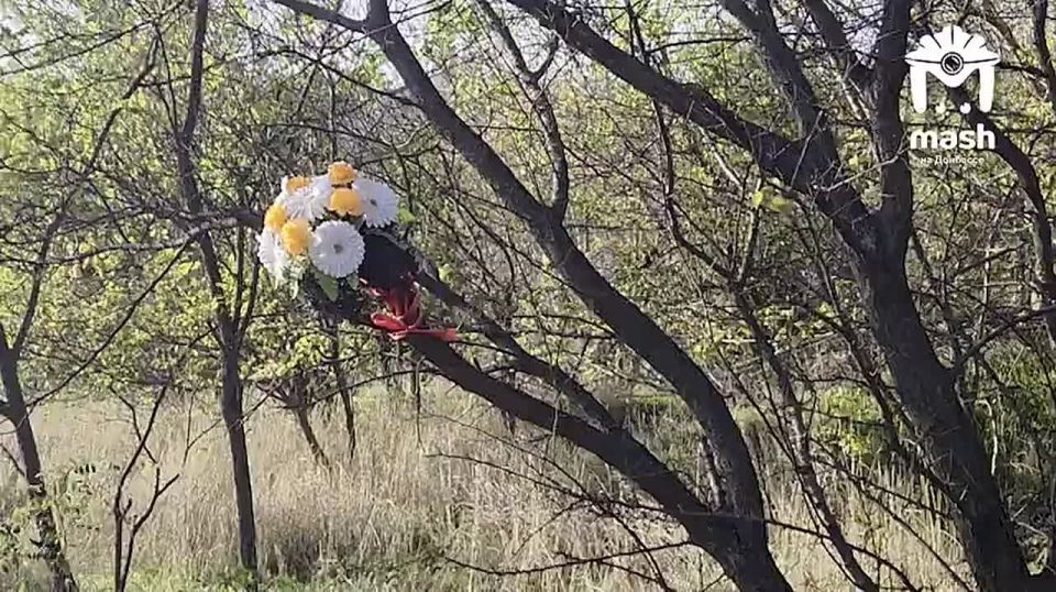 &quot; -   :     ,  , ***,   &quot;