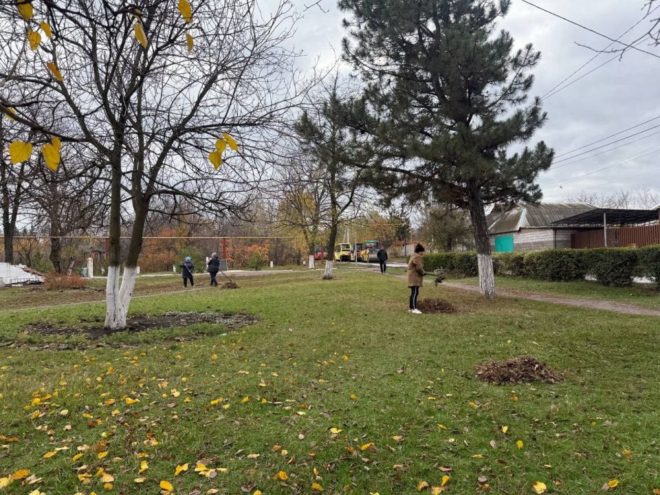 1 ,     &quot;        &quot;        ,      ...