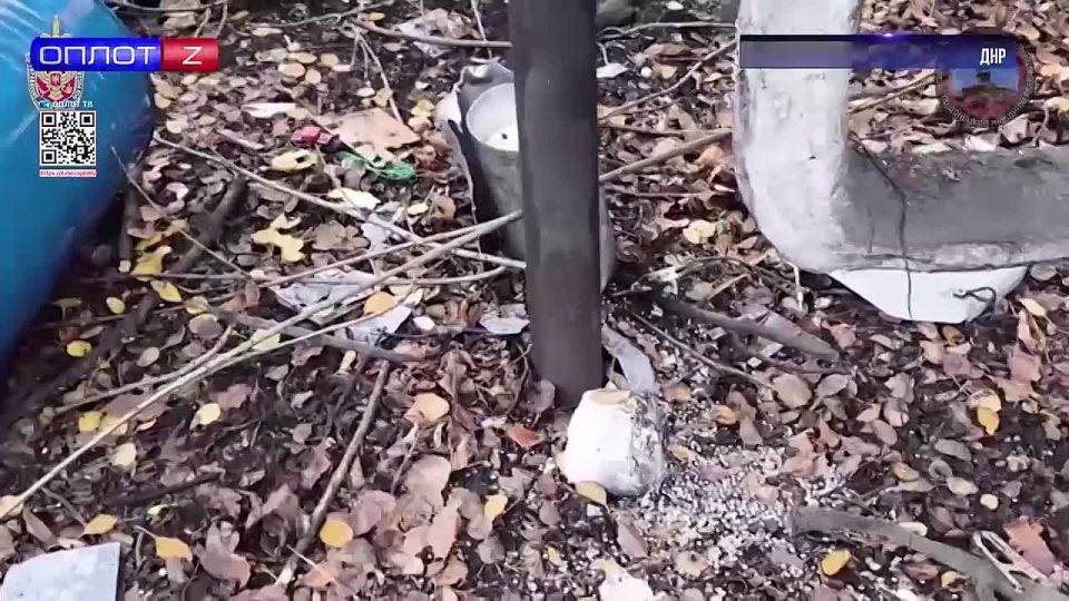 440      &quot; &quot;