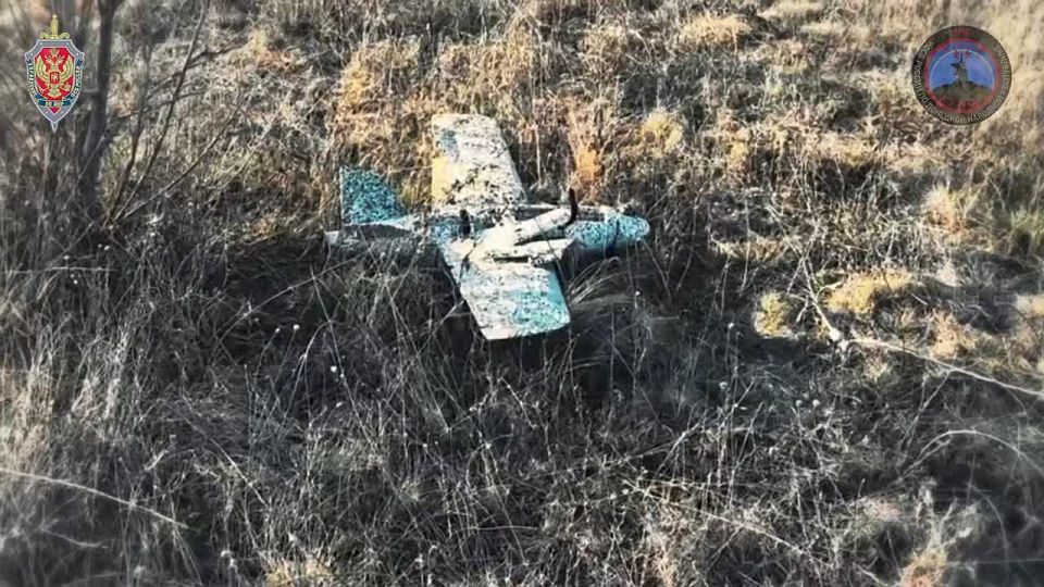 �� ���������� ����� ��� ������ ��������, �� ������ �������� ��� ������ �������� ��� �������� � ��������� ������������� 196 �������������, ��� ��������� � 113