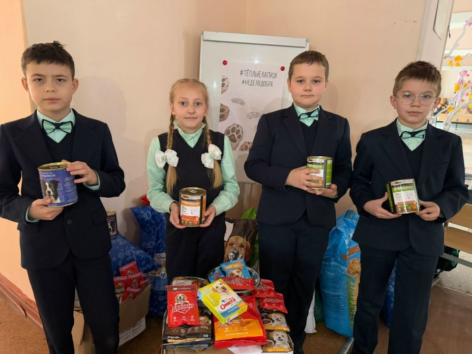 ������� ����, �������� ������