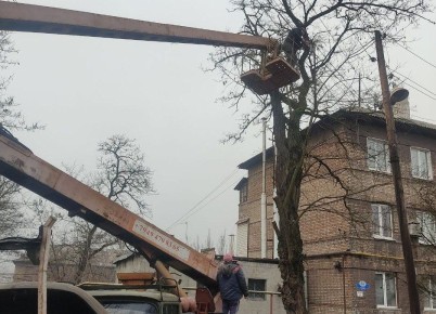 3 ,      ,         -  ,      ...