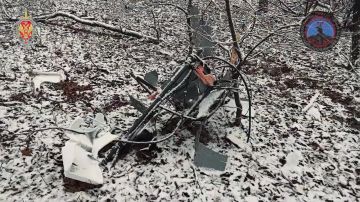 ����� ��� ����� ������� �������, ��� �������� ��� ������ �������� �� ������ ������������� 295 ���������������� ���� �� ������� ����������