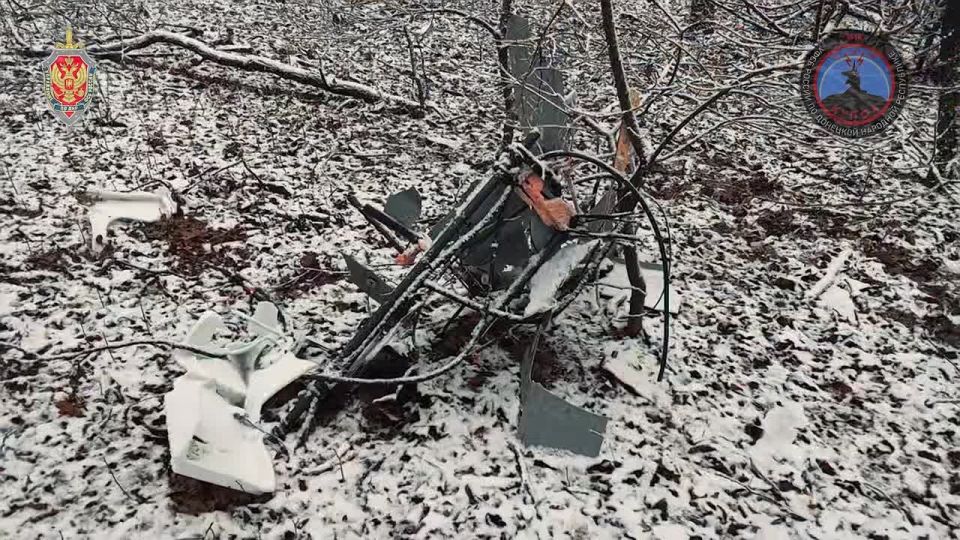 ����� ��� ����� ������� �������, ��� �������� ��� ������ �������� �� ������ ������������� 295 ���������������� ���� �� ������� ����������