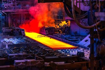 Александр Подгорный: В свободной экономической зоне Донбасса и Новороссии инвестпроекты реализуют 455 компаний