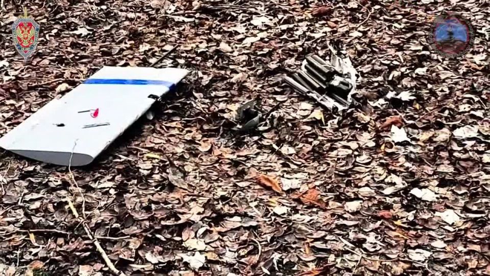 ����� ��� ����� ������� �������, ��� �������� ��� ������ �������� �� ������ ������������� 252 ���������������� ����� ����������