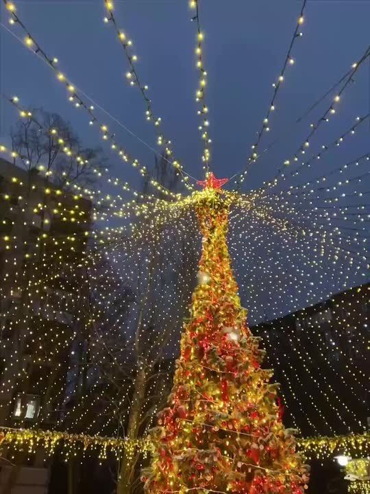 #* �������� ���������� �������� �� �������� � ����� ����