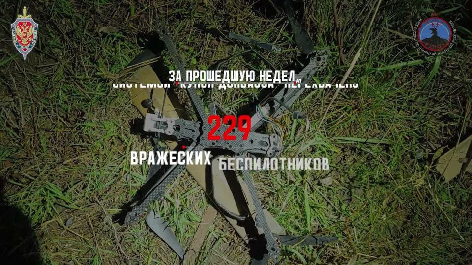 ����� ��������� ������� ����������: ������ �������� ���������� 229 ���������� �������������