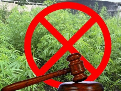 ������ �. �������� ������� �� ��������������� 640 ������ ��������, ���������� ������������� ��������, � ����� �������� ������ ����� ��������