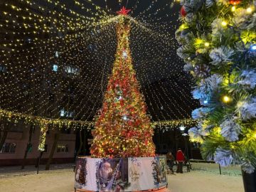 Ёлка в Макеевке учавствует в конкурсе «Елки России»!