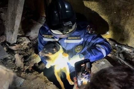 Добровольцы ВСКС достали щенка из заброшенного дома в Макеевке