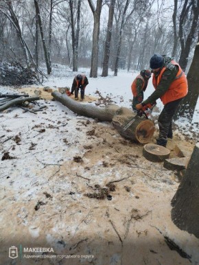 ����������� ������ � ����� ��� 15 ������