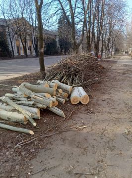 ��������� ��������: � �������� ������� ������ �� ���������� ��������� � ����������� ��������