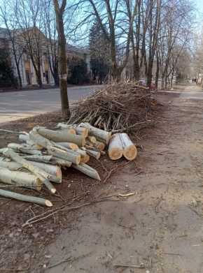 ��������� ��������: � �������� ������� ������ �� ���������� ��������� � ����������� ��������