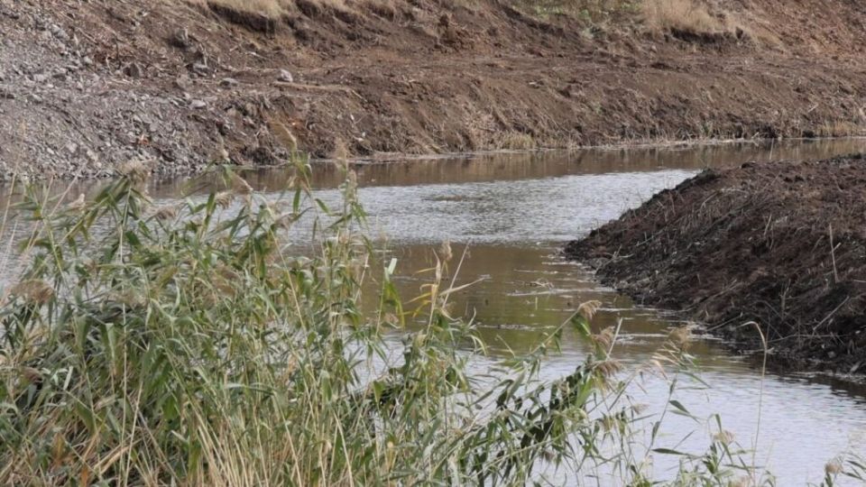 ������ ��������� �� 2028 ����: ����� ���� �������� � �������� ��������� �� ������