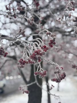 �������� �����