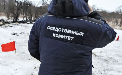 В ДНР трехлетний ребенок с матерью погибли из-за пожара