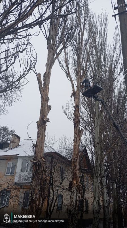 � �������� ������������ ������ �� ����� ��������� ��������