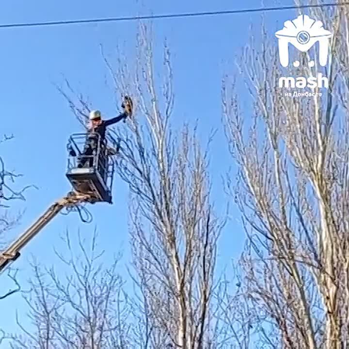 Спасатели всё-таки сняли макеевского енота-экстремала