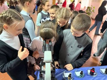 ������ ����������� ����: ���� ������������� � �������� ��������