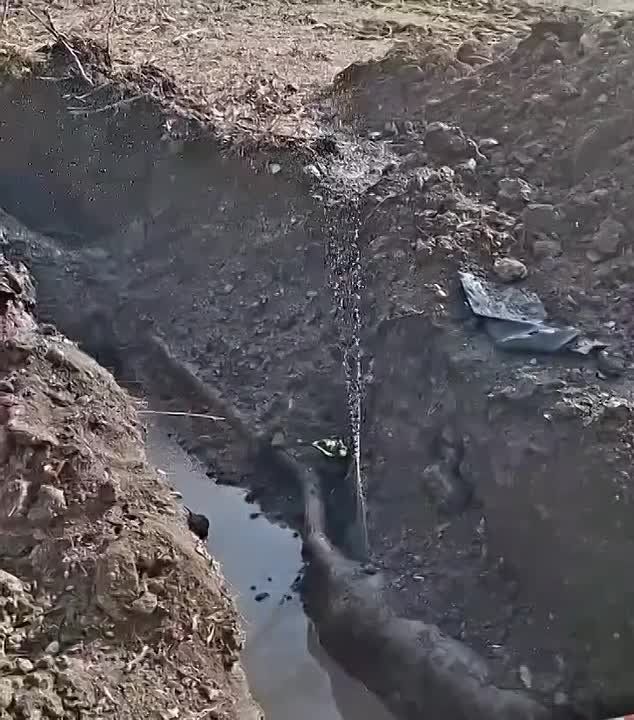 ��������� ���������� � �������� ������������� ��������������� ��� �������