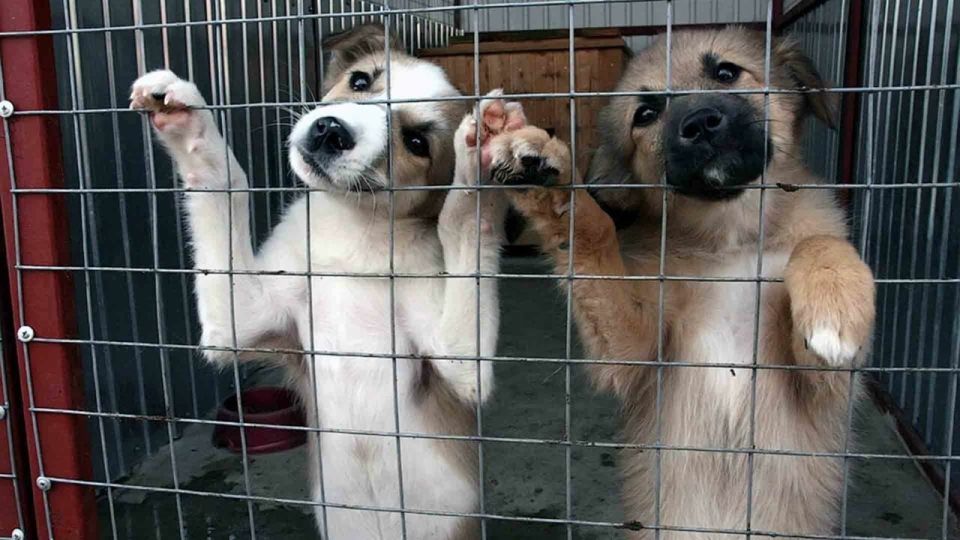 � �������� ��������� ������� ����� ��� ��������� ��������