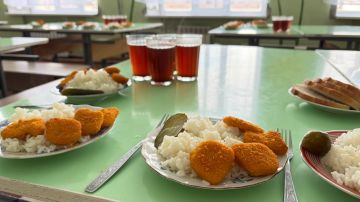 Родители попробуют, чем кормят детей в детсадах и школах Макеевки: вопрос решат в ближайшее время