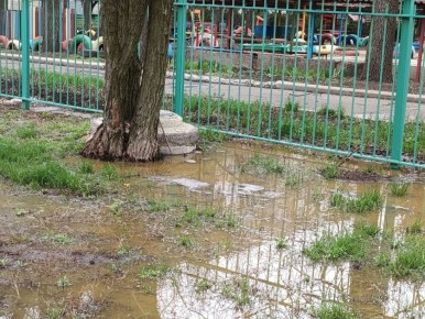 �������� ��������:. ��� ���������� ������, ��������, ������������ ����� ������ ������� ����������� - ����� ������