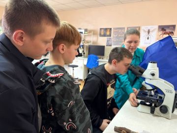 Экскурсии в период весенних каникул – это возможность не только отдохнуть, но и получить новые знания, расширить кругозор, познакомиться с историей, культурой и природой разных мест