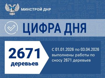 Ликвидация аварийных деревьев продолжается