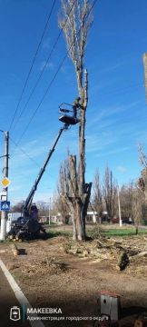 ����������� ������ ������������� �������� 7 ������