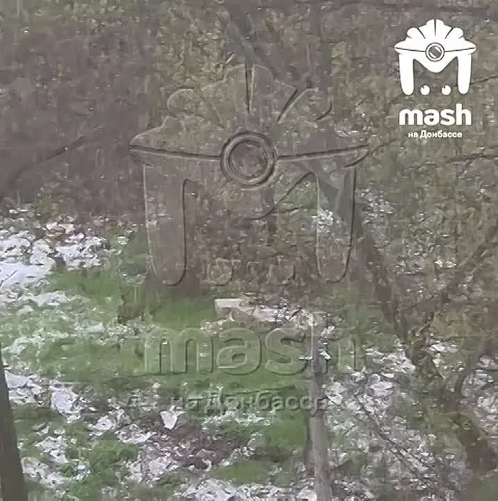 ������ ���� (���������, ���� ���) ������ � ������� � ��������