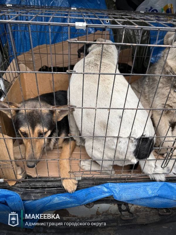 ������ �� ������������� ����������� ������������ �������� ������������