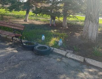 Сегодня, 16 апреля, предприятия, организации и учреждения Кировского внутригородского района города Макеевки продолжают работы по наведению санитарного порядка